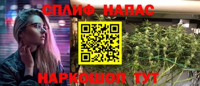 молекула духа Пугачёв