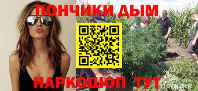 молекула духа Пугачёв