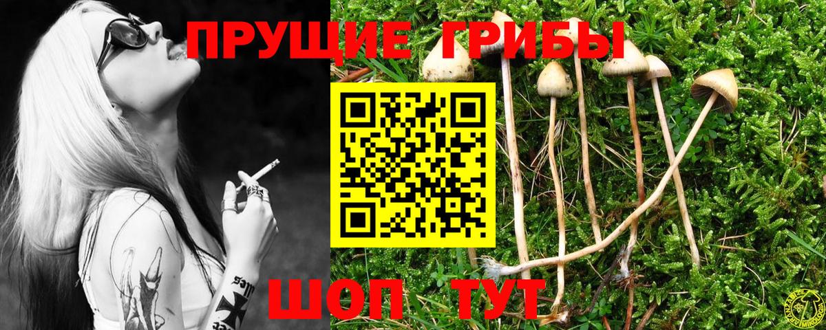 Лесосибирск  Псилоцибиновые грибы мухоморы  Вход с VPN  Псилоцибиновые грибы мухоморы 