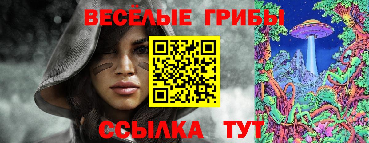 Галлюциногенные грибы GOLDEN TEACHER Лесосибирск